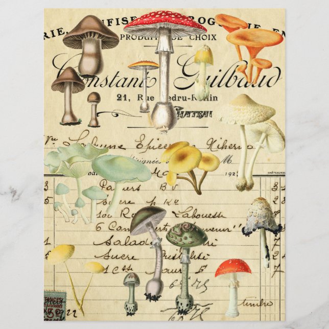 Vintage Svamp Fungi Collage Ark  (Framsida)