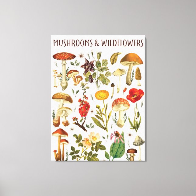 Vintage Svamp- och Vildblomsdiagram  Canvastryck (Framsida)