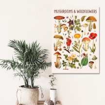 Vintage Svamp- och Vildblomsdiagram