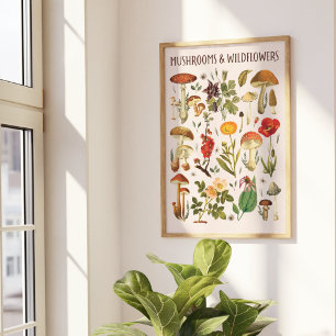 Vintage Svampar och Vildblommor Diagram Väggkonst