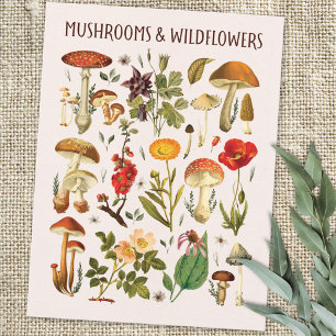 Vintage Svampar och Vildblommor Diagram Väggkonst Vykort