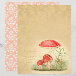 Vintage Svampfångbok Papper - Marple Hall