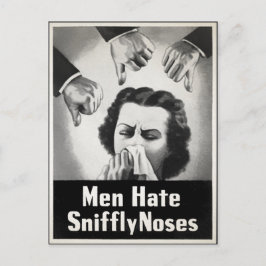 Vintage SVENSKT NÖTSKYDDSKLASSIFICERING Vykort