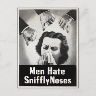 Vintage SVENSKT NÖTSKYDDSKLASSIFICERING Vykort