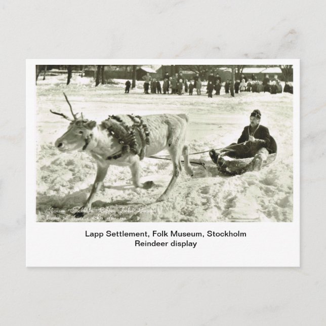 Vintage Sverige, Lapp Settlement, Folk Museum. Vykort (Framsida)