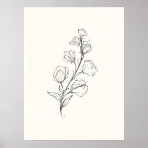 Vintage Sweetpea Print Poster