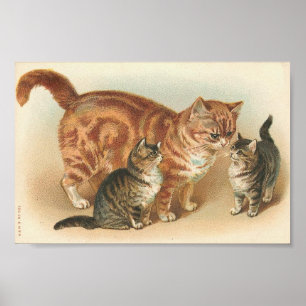 Vintage Tabby katt med kittens Poster