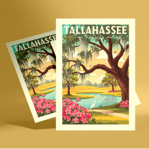 Vintage Tallahassee Florida Vykort