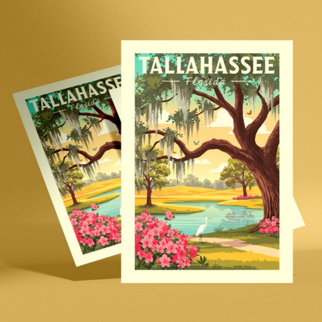 Vintage Tallahassee Florida Vykort (Skapare uppladdad)