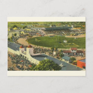 Vintage Tampa Florida Fair Grounds Postcard Vykort