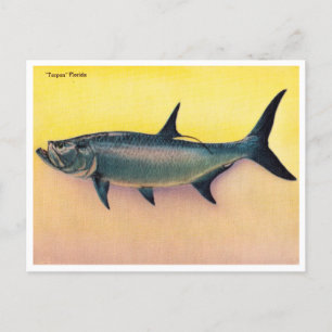 Vintage Tarpon Florida Travel Postcard Vykort