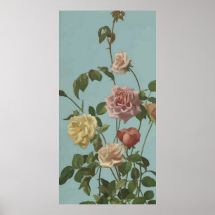 Vintage Tea Ro och Rosor Poster