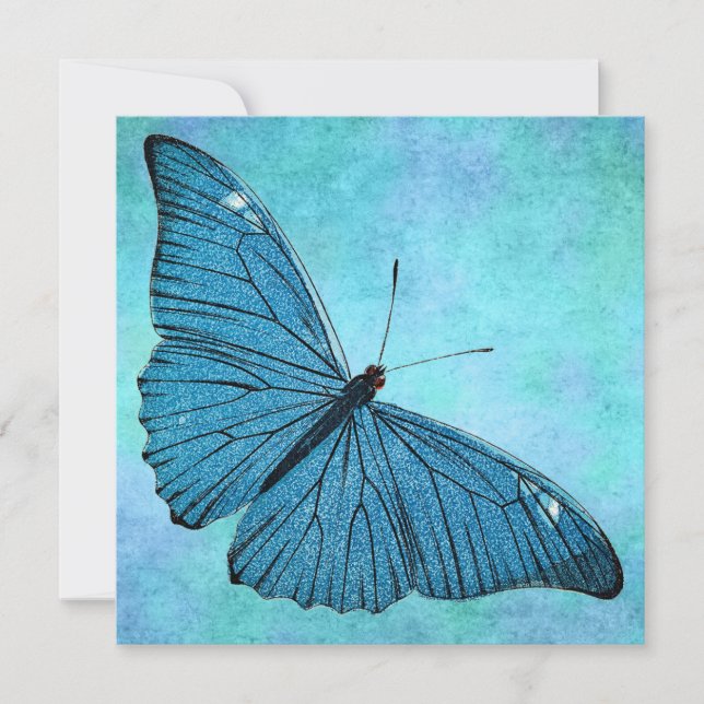 Vintage Teal Blue Butterfly 1800s Illustration (Framsida)