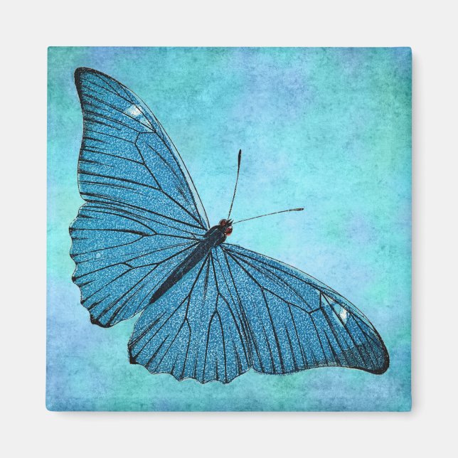 Vintage Teal Blue Butterfly 1800s Illustration Magnet (Framsidan)