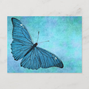 Vintage Teal Blue Butterfly 1800s Illustration Vykort