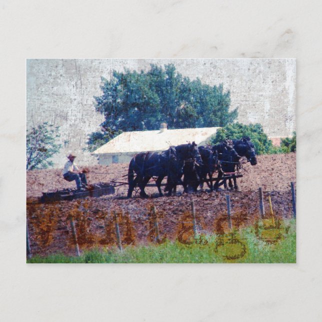 Vintage Team-arbete Vykort (Framsida)