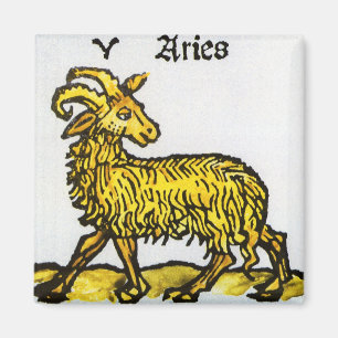 Vintage Tecken på Zodiac, Aries Ram Magnet