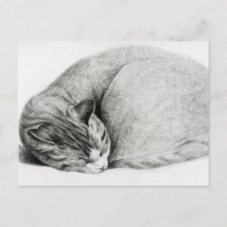 Vintage Teckning i Kitten Vykort