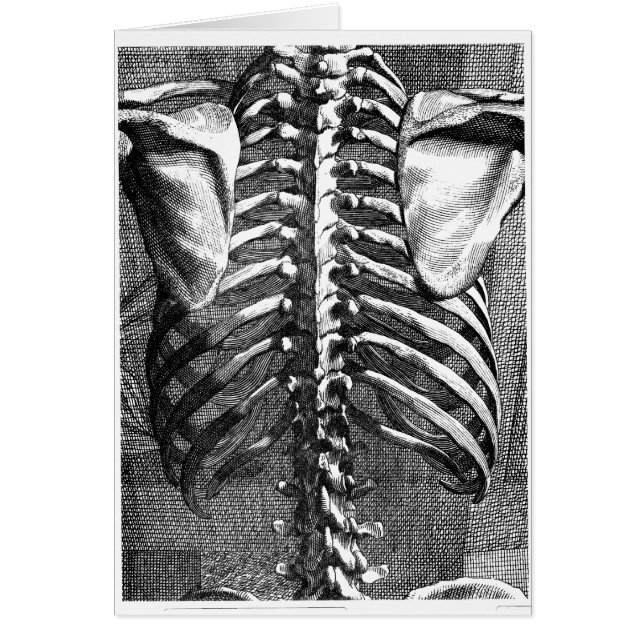 Vintage teckning i ryggrad och revben hälsningskort (Framsidan)