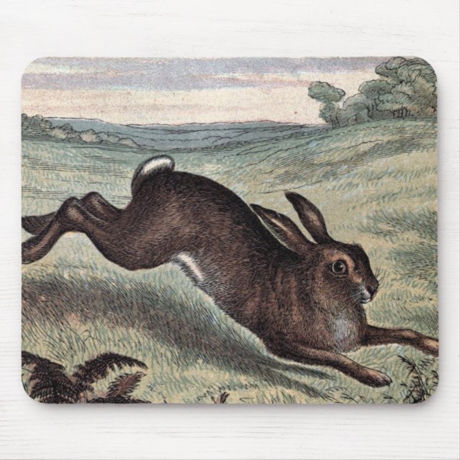 Vintage Teckning: Köra Hare i Fält Musmatta (Framsidan)