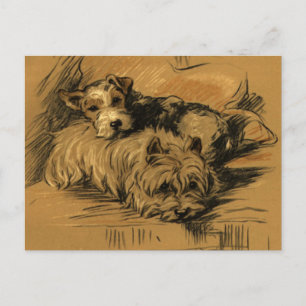 Vintage Terrier and Westie Vykort