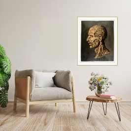 Vintage Testa Anatomica - utskrift av stora kontur Poster