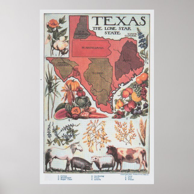 Vintage Texas Agricultural Karta (1922) Poster (Framsidan)
