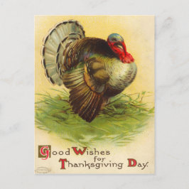 Vintage Thanksgiving Day Turkey Postcard Helg Vykort