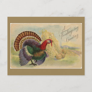 Vintage Thanksgiving Hälsning Turkiet Vykort