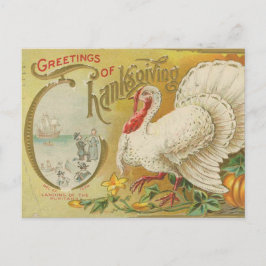 Vintage Thanksgiving-kalkon Vykort