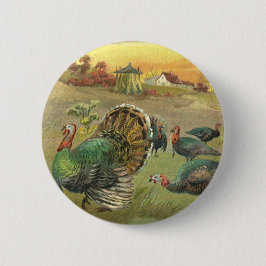 Vintage Thanksgiving med kalkoner och pilgrimer Knapp