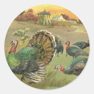 Vintage Thanksgiving med kalkoner och pilgrimer Runt Klistermärke