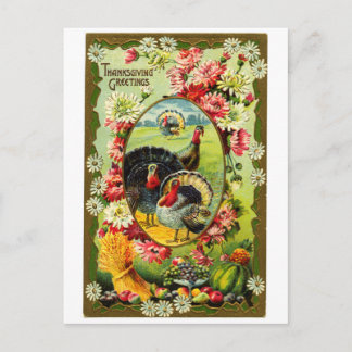 Vintage Thanksgiving Turkey Vykort