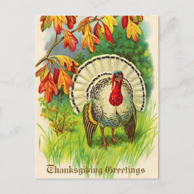 Vintage Thanksgiving Turkiet Helg Vykort (Framsida)