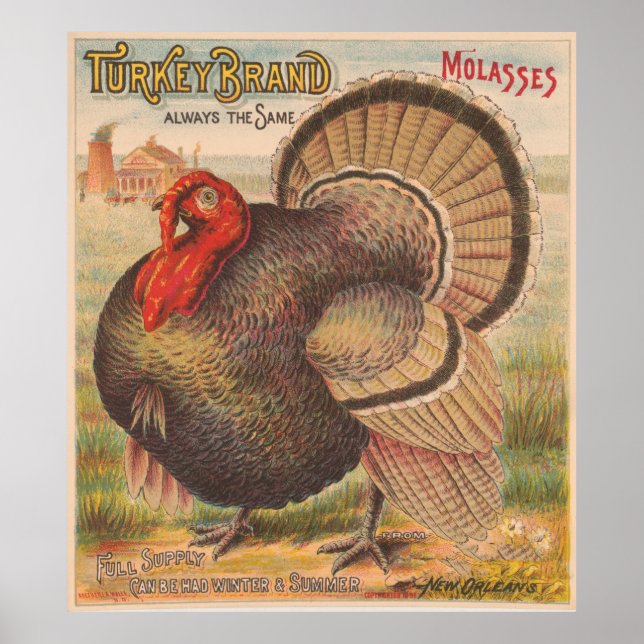 Vintage Thanksgiving Turkiet Illustration (1891) Poster (Framsidan)