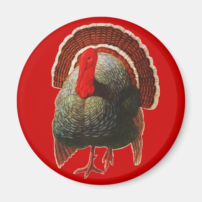 Vintage Thanksgiving Turkiet Magnet (Framsidan)
