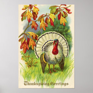 Vintage Thanksgiving Turkiet Poster