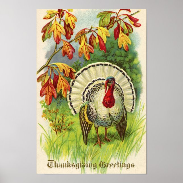 Vintage Thanksgiving Turkiet Poster (Framsidan)