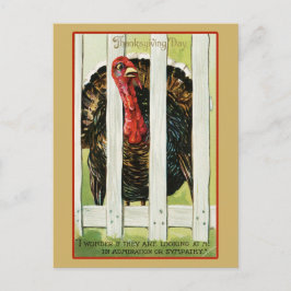 Vintage Thanksgiving Turkiet Vykort