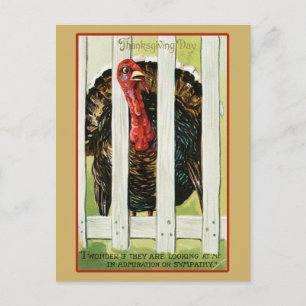 Vintage Thanksgiving Turkiet Vykort