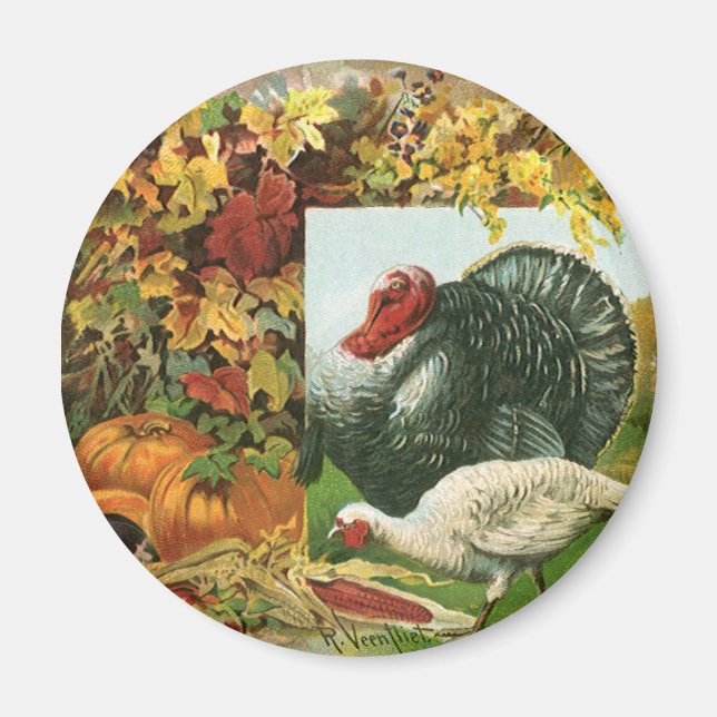 Vintage Thanksgiving, Vild Turkey HöstFärg Magnet (Framsidan)