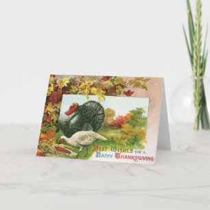 Vintage Thanksgiving, vilda kalkoner höstfärger Helgkort