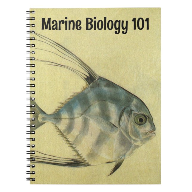 Vintage Threadfin Trevally, African Pompano Fish Anteckningsbok (Framsidan)