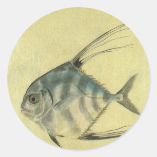 Vintage Threadfin Trevally, African Pompano Fish Runt Klistermärke