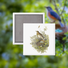 Vintage Thush Guards hennes ägg Magnet