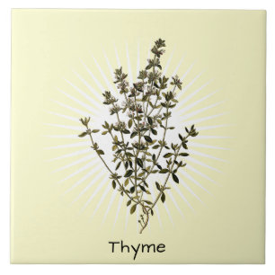 Vintage Thyme Herb Botanical Art Ceramic Tile Kakelplatta