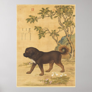 Vintage Tibetansk Mastiff kejserlig kinesisk konst Poster