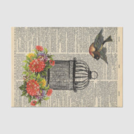 Vintage Tidning med avsvärtning av burfågel