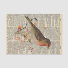 Vintage Tidning med fågelavståndssida