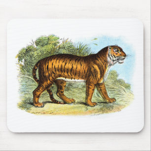 Vintage Tiger Illustration Mousepad Musmatta